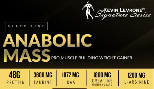 آنابولیک گینر مس کوین لورون Kevin Levrone